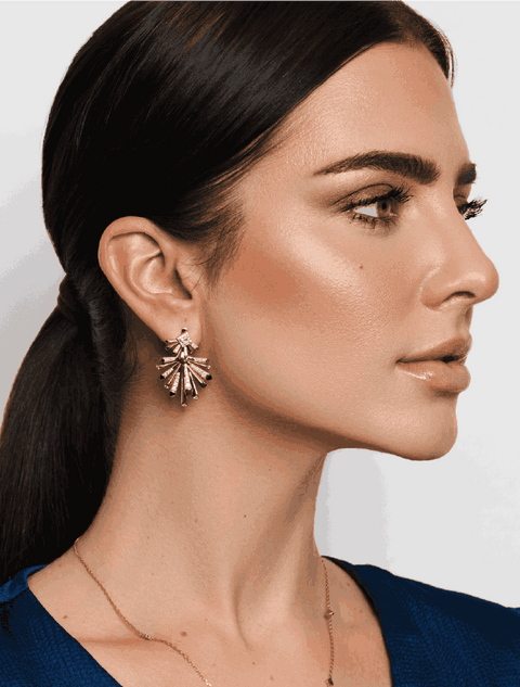 <p>Earrings</p>